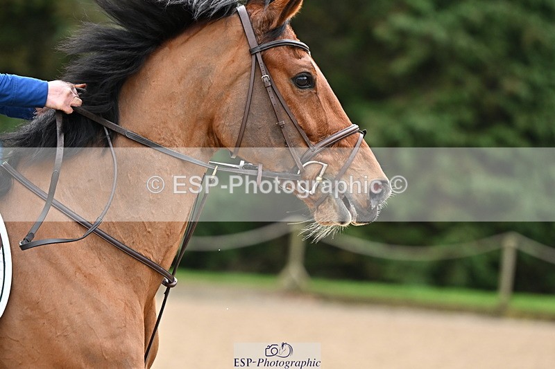 250201A-112113-00386 - Cls 02 Local Horse 100cm