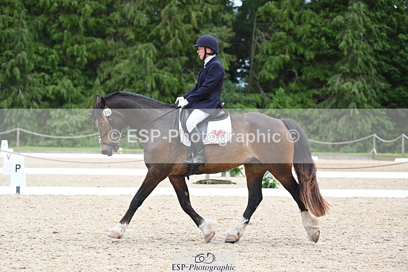 230813-140426-07665 - Cls 13 Medium Bronze 13.15 to End