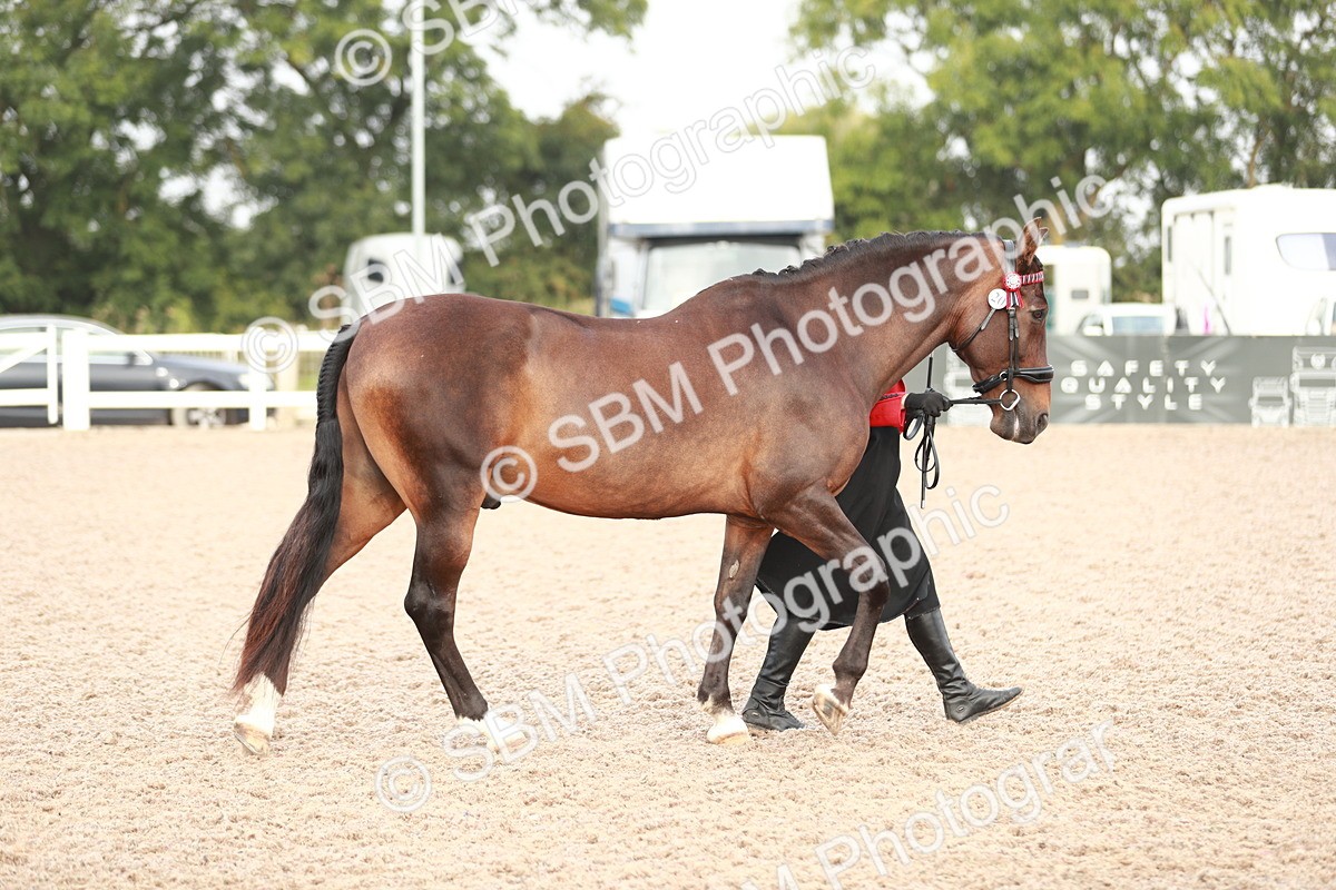 SBM_09484 - Class 201 Best Turned Out IH