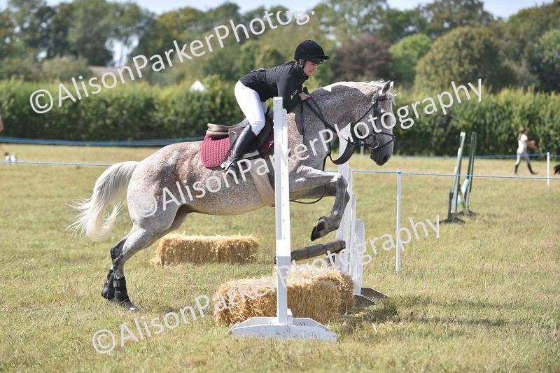 20260906-2686 - Class 13 - Working Hunter Horse or Pony