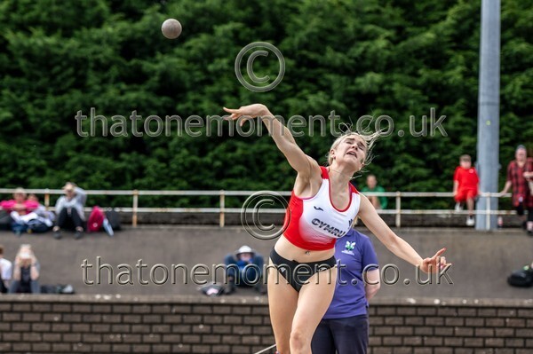 SIAB23-914231 - Field Female Set Two