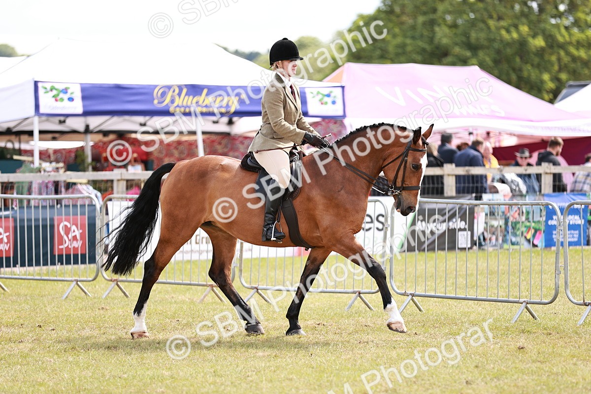 SBM_14513 - Class 88-89 - LIHS BSHA Rising Star of Ridden Hunter Type