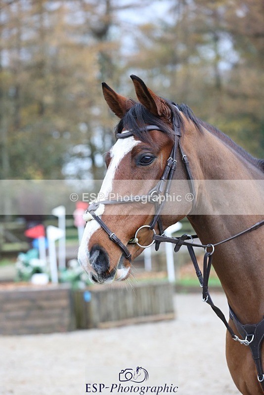 231118-120026-01403 - Cls 2 80cm 11.30 to End