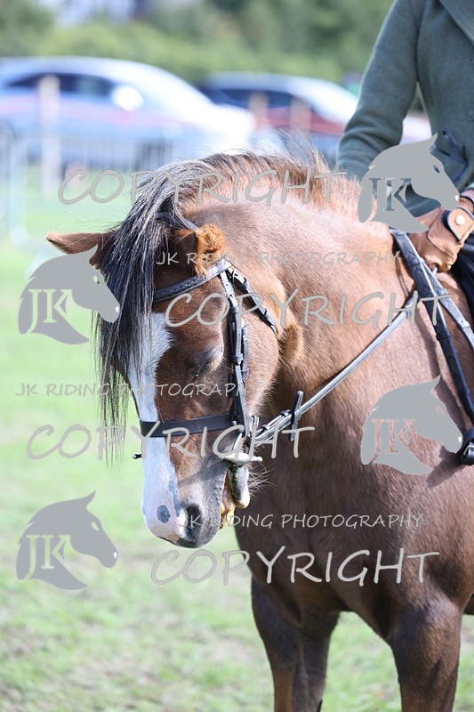 APP_4012 - Class 14 First ridden