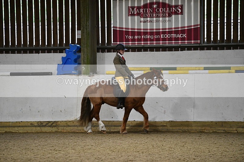 WJ5_8196 - Class 14 Novice Ridden/Rider