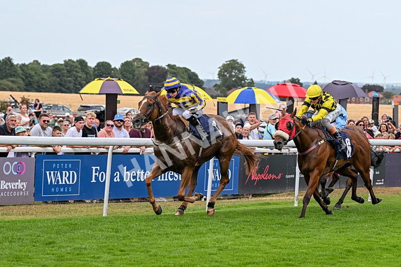 280726-Race 6-Azuinthejungle-1719 - Race 6 16.30pm It's Ladies Day Next On 12 August Handicap