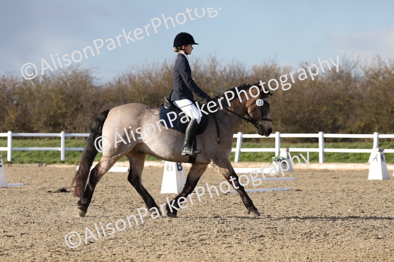 20260314-5924 - DR9 - PYO