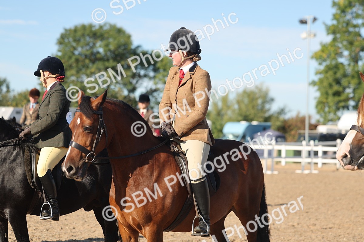 SBM_11096 - Class 302 - Ridden M&M Large Breeds
