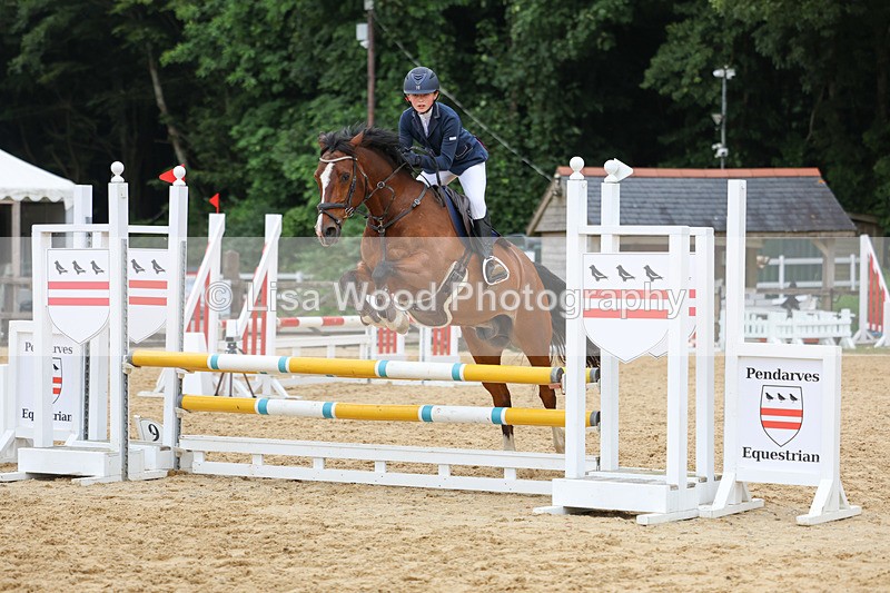 3E7A6845 - Class 13: Pony British Noise/80cm open