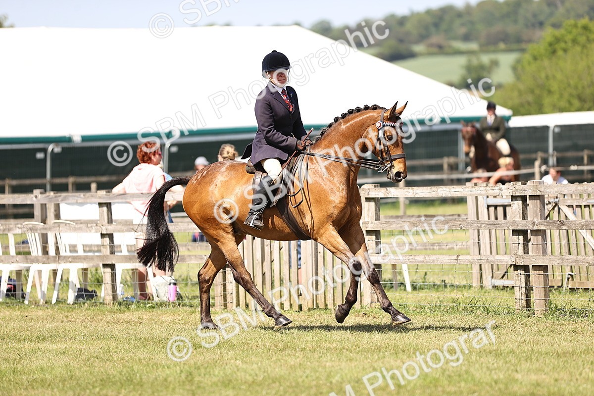 SBM_17995 - Class 81-83 - TSR Ridden Amateur of the Year - Horses