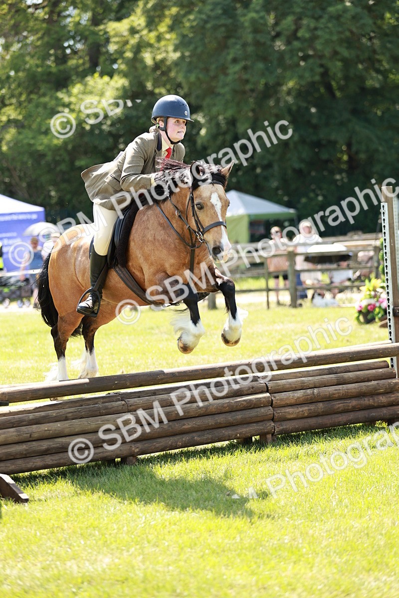SBM_16349 - Class 110-111 - Training Stakes (70cms 80cms)
