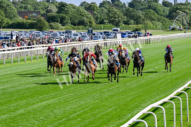120626-Race 6-Rotokura Belle-0325 - Race 6 16.45pm Dawson Williamson Architects Handicap