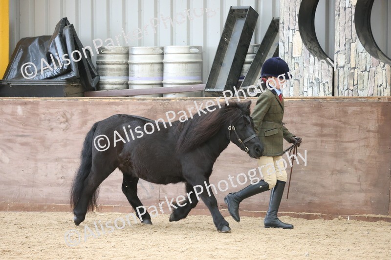 20251109-1195 - Young Handler Championship