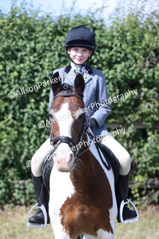 20250831-2543 - Class 16 - Family Pony