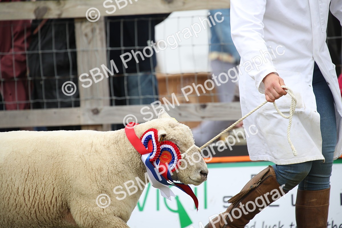 SBM_07797 - Grand Parade