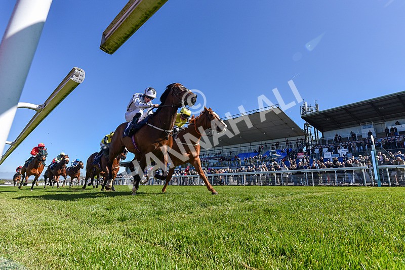 230426-Race 4-A War Eagle-6467 - Race 4