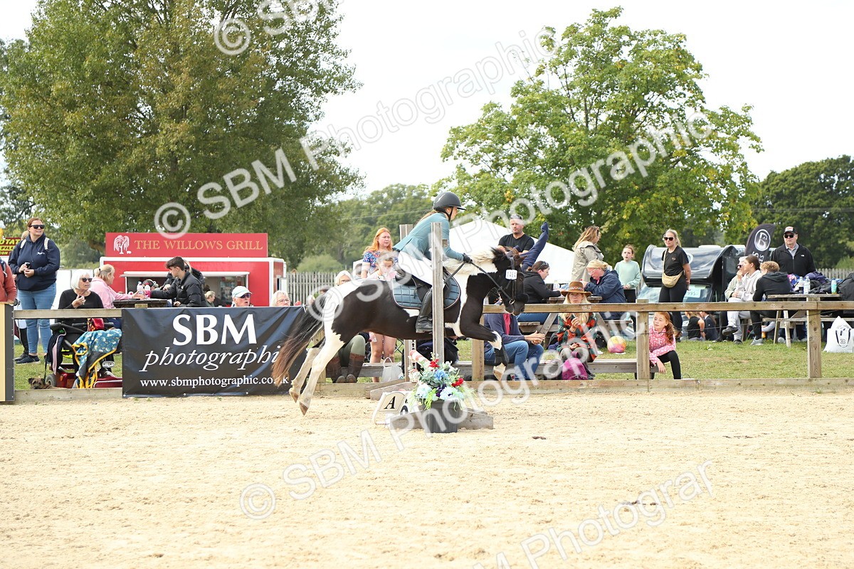 SBM_41473 - J6 - Junior Pony 55cm Championships