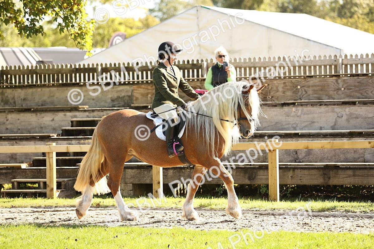 SBM_16996 - S2 - TSR Ridden Pony Showing
