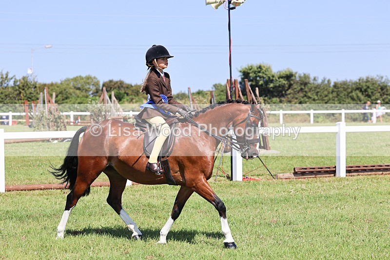 IMG_2073 - Class 34: Show Hunter Pony 153cm and under