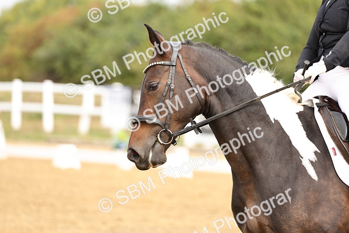 SBM_012268 - Class 2 - Prelim 5