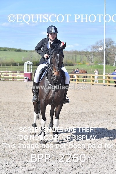 BPP_2260 - CLASS 22 SUN Senior BritiNovice/ 90cm Open