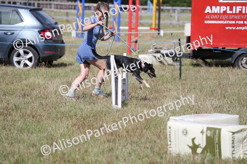 20260906-3438 - Class 34 - Dog Agility