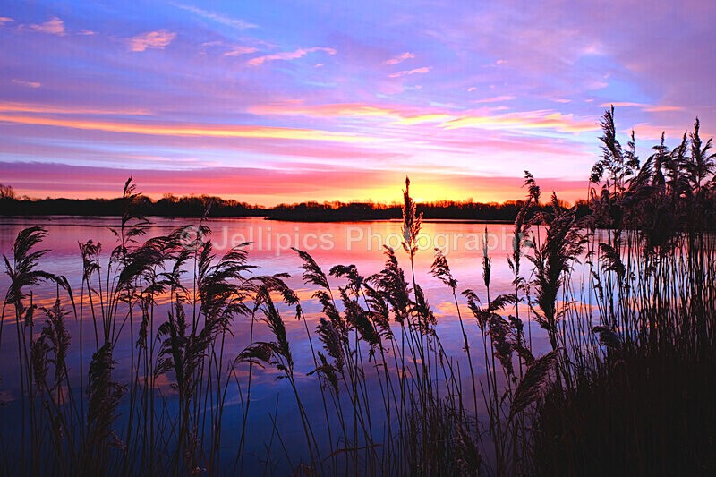  - Landscapes