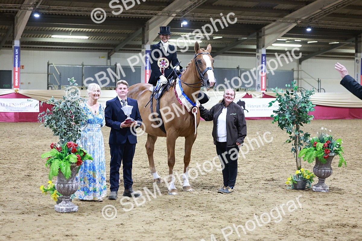 SBM_20962 - Class N - Side Saddle Champ