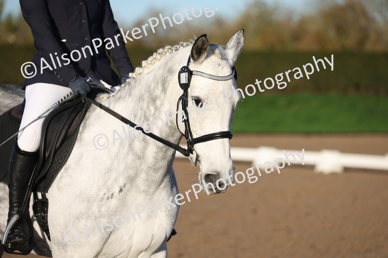 20251102-0087 - Class 1 - Prelim 5