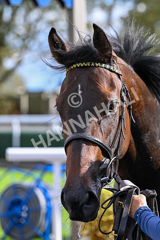 170925-Race 3-Caim-4629 - Race 3