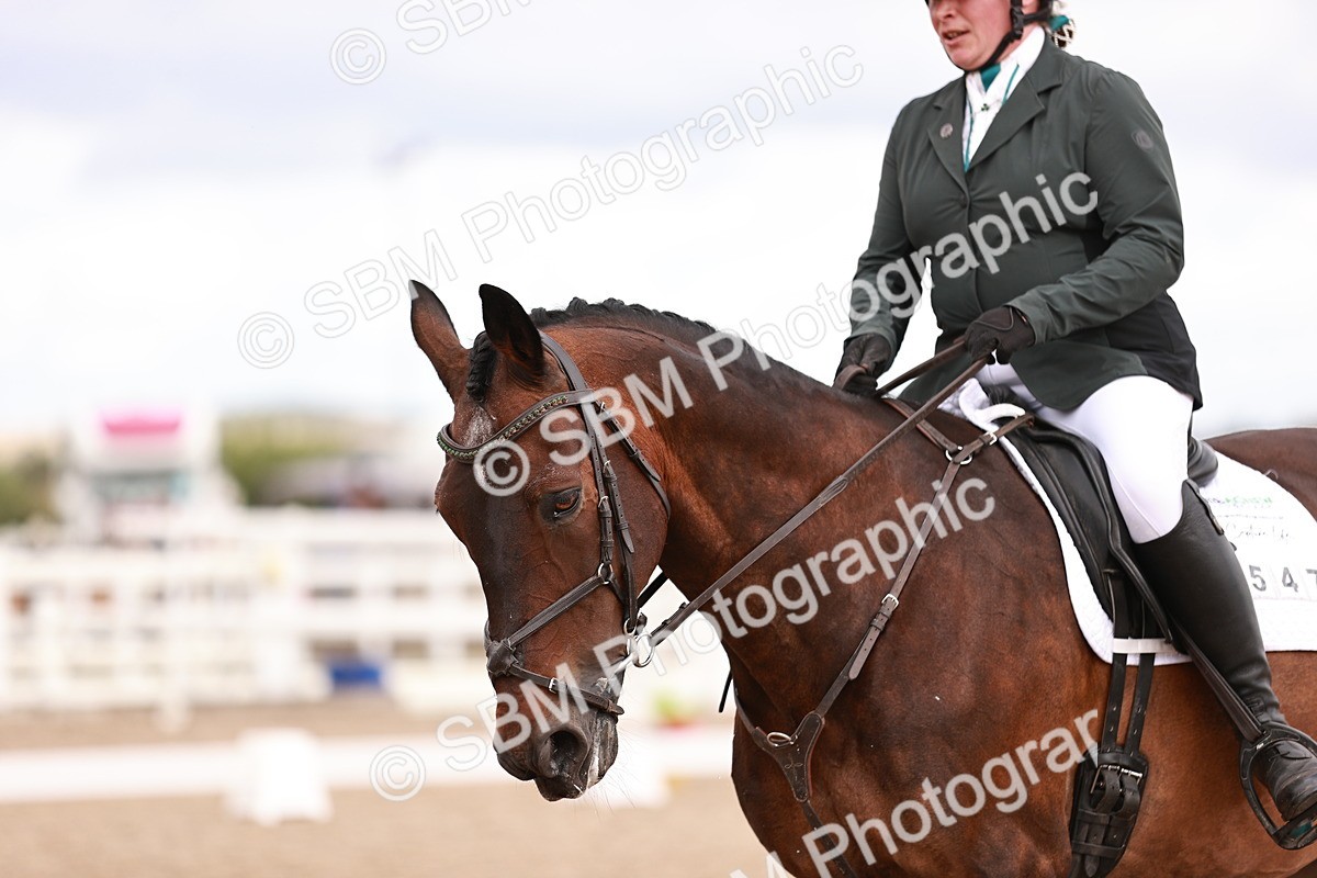 SBM_06366 - Class 37 - Novice 5