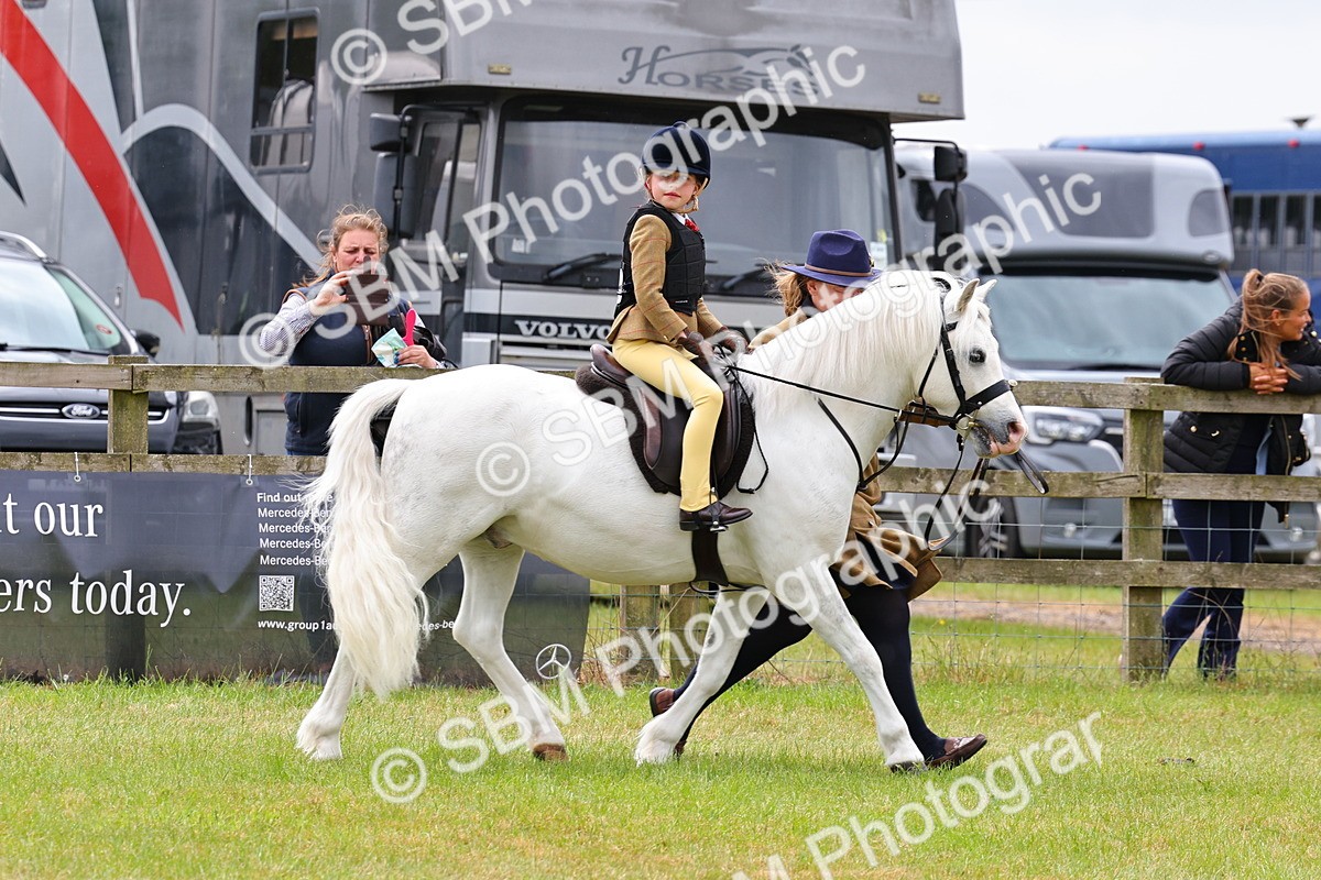 SBM_08188 - Class 42-43 - LIHS BSPS Heritage Working Sports Pony