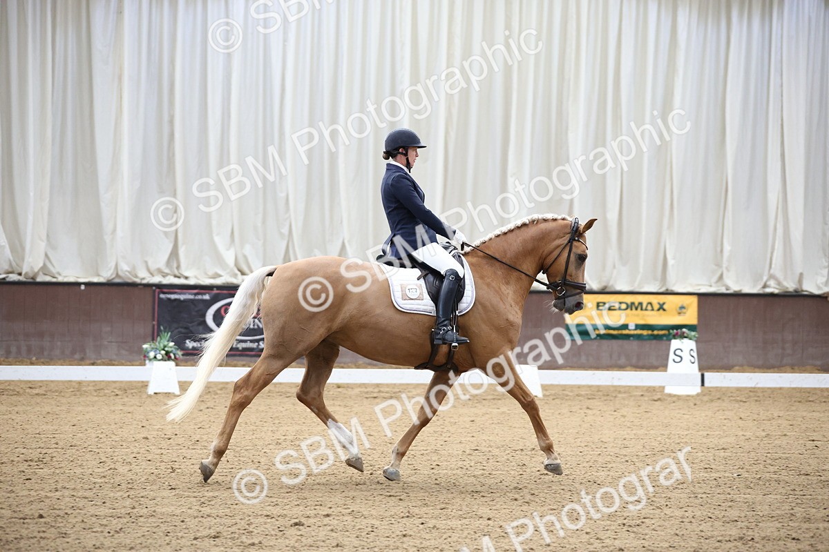 SBM_002064 - Class 5 - Novice 6 Gold - 9.00-10.10