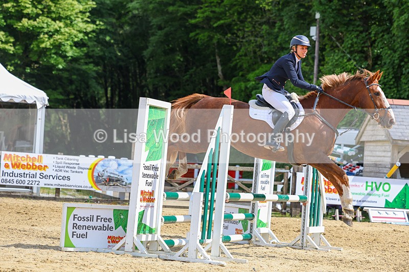 3E7A8774 - Class 4: Senior British Novice/90cm open