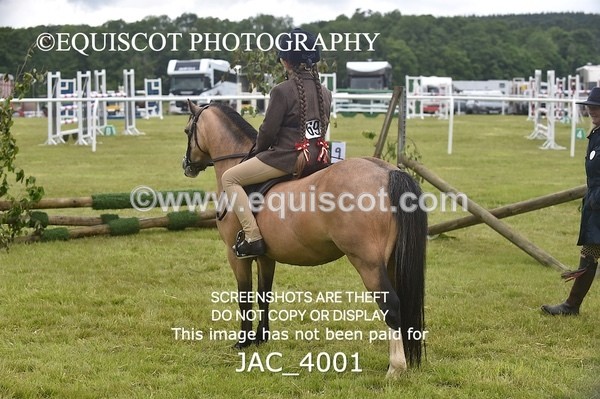 JAC_4001 - 40CM WORKING HUNTER