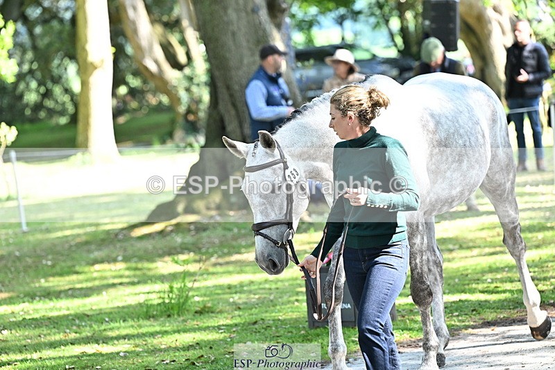 250521A-160355-00895 - C-253-Kirsty.Chabert-GLOBAL.EMPRESS