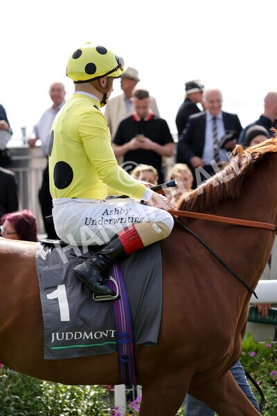 yr18082021r4-44 - Race 4 3.35pm Juddmonte International Stakes (British Champion Series race)