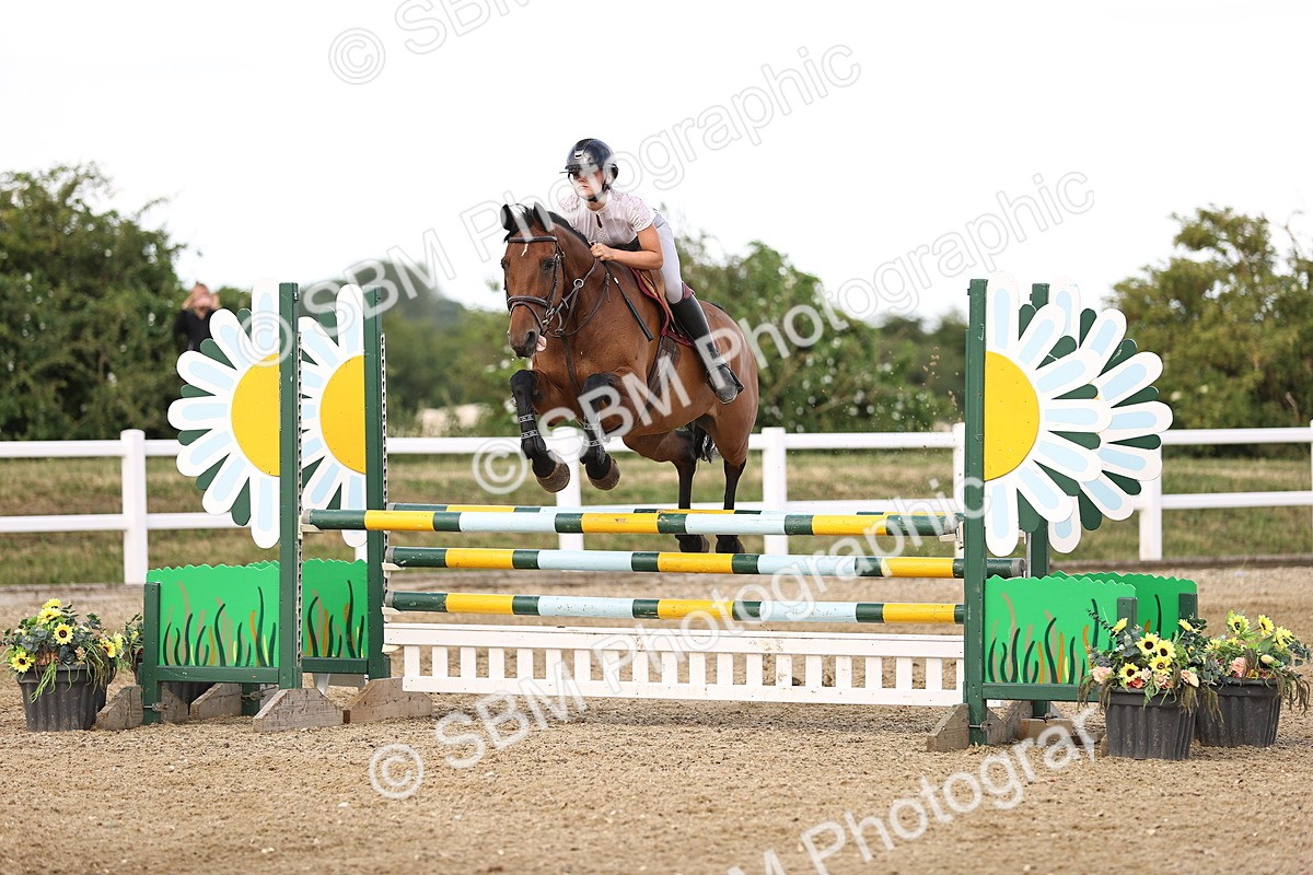 SBM_002514 - Class 19 - Nupafeed Supplements Senior Discovery - 1.00m