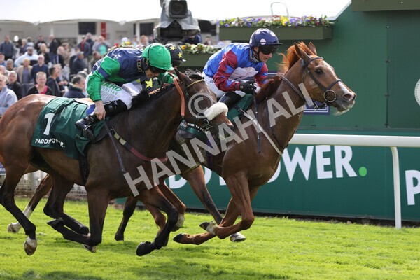 yr12052022r3-29 - Race 3 3.00pm The Paddy Power Hambleton Stakes