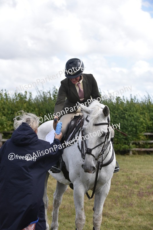 20250831-4132 - Class 13 - Working Hunter Horse or Pony