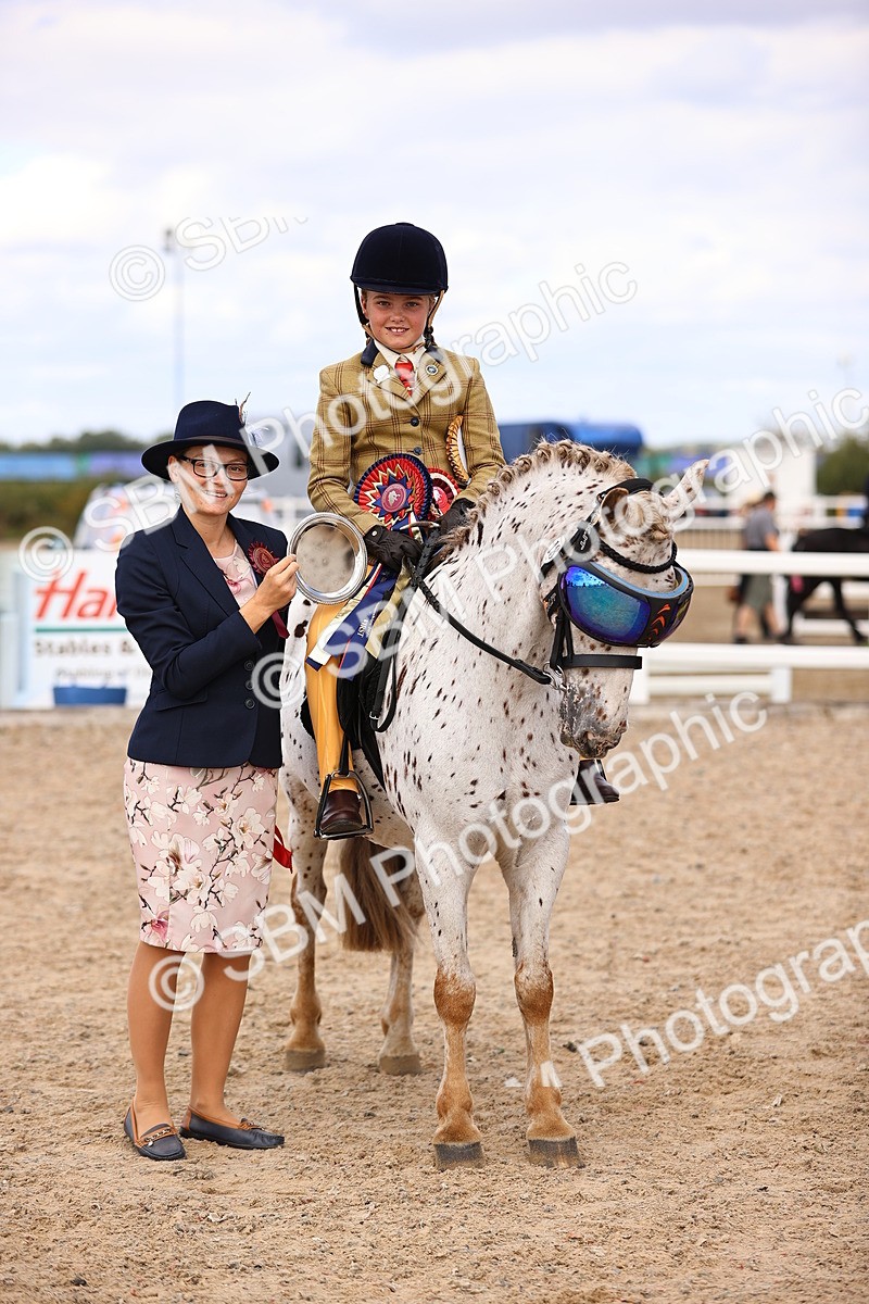 SBM_16173 - Class 420 - Horse-Pony Judge would most like to take home (IH or Ridden) Jnr