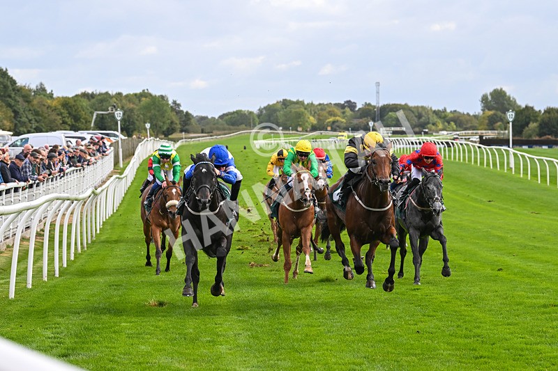 021024-Race 2-Al Hussar-9171 - Race 2