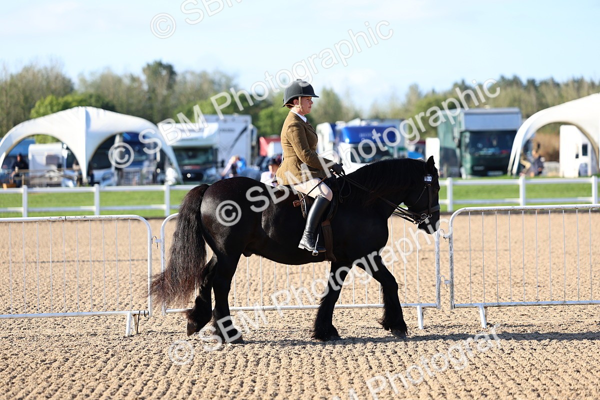 SBM_08701 - Class 302 - Ridden M&M - Large Breeds