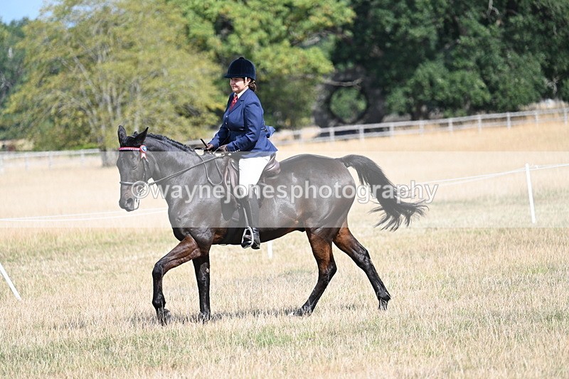 WJ7_6245 - Class 13 Ridden Veterans