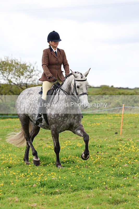 3E7A1277 - Class 7: Ridden Hunter Type