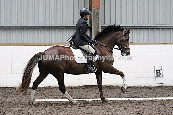 SIAL4666 - CAbin Dressage 5th july 2025