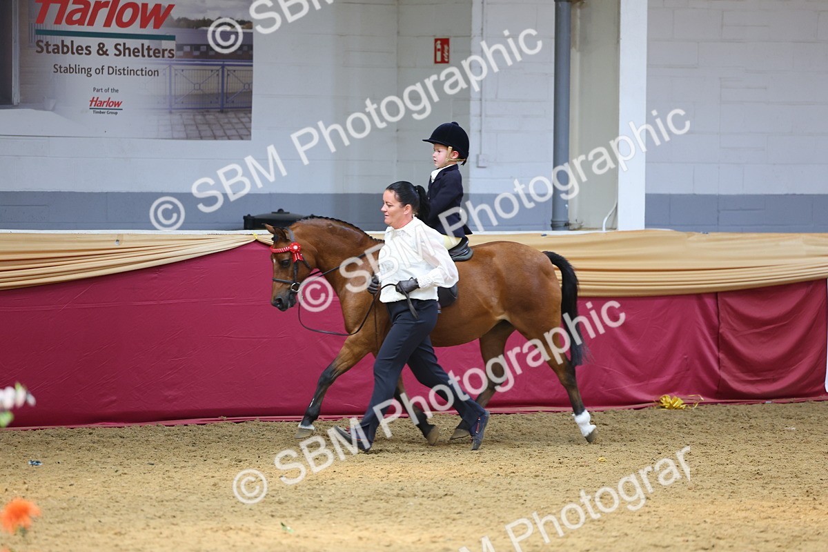SBM_24002 - Class 905 - Supreme Final - Ridden Veteran