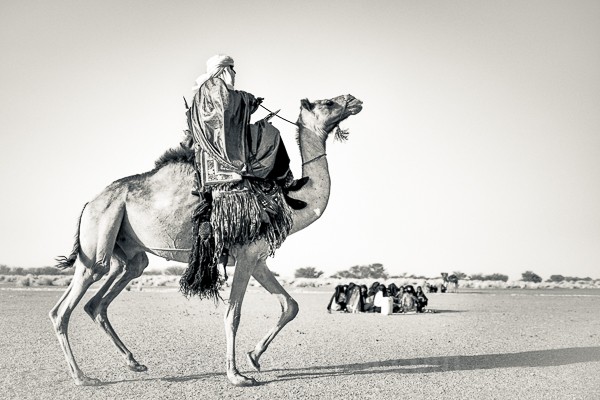 Tuareg, Dabous, Camel, Niger