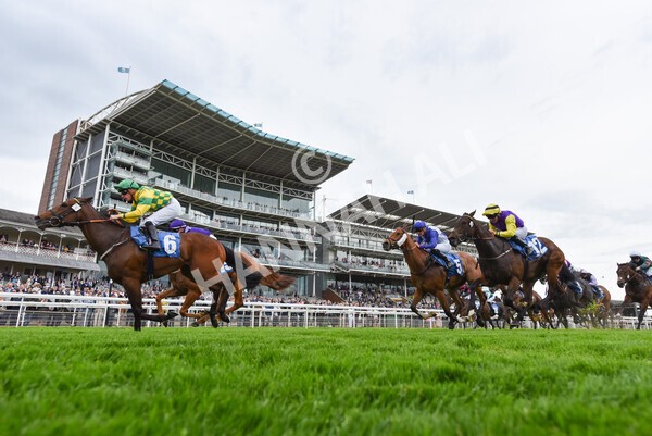 yr22052022r3-45 - Race 3: 4:35pm Sky Bet Sunday Series Dash
