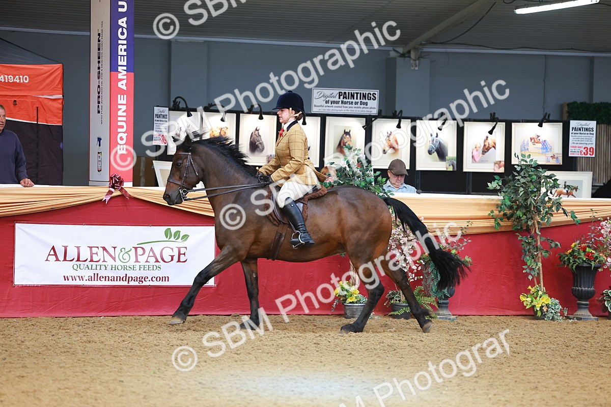 SBM_09716 - Class 102 - HOYS Veteran Qualifier - Ridden Veteran
